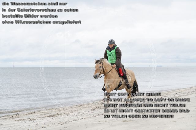 s_K3F04773.JPG